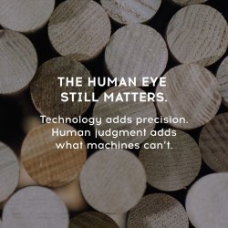 The Human Eye Still Matters